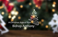 vinnies appeal vid